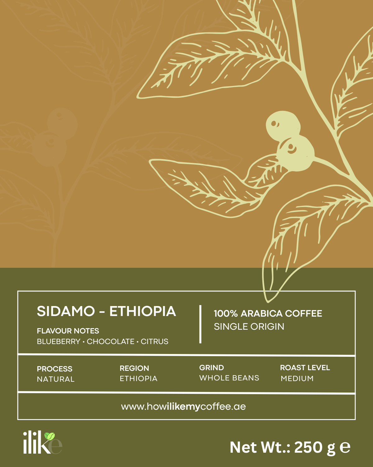 Sidamo - Ethiopia