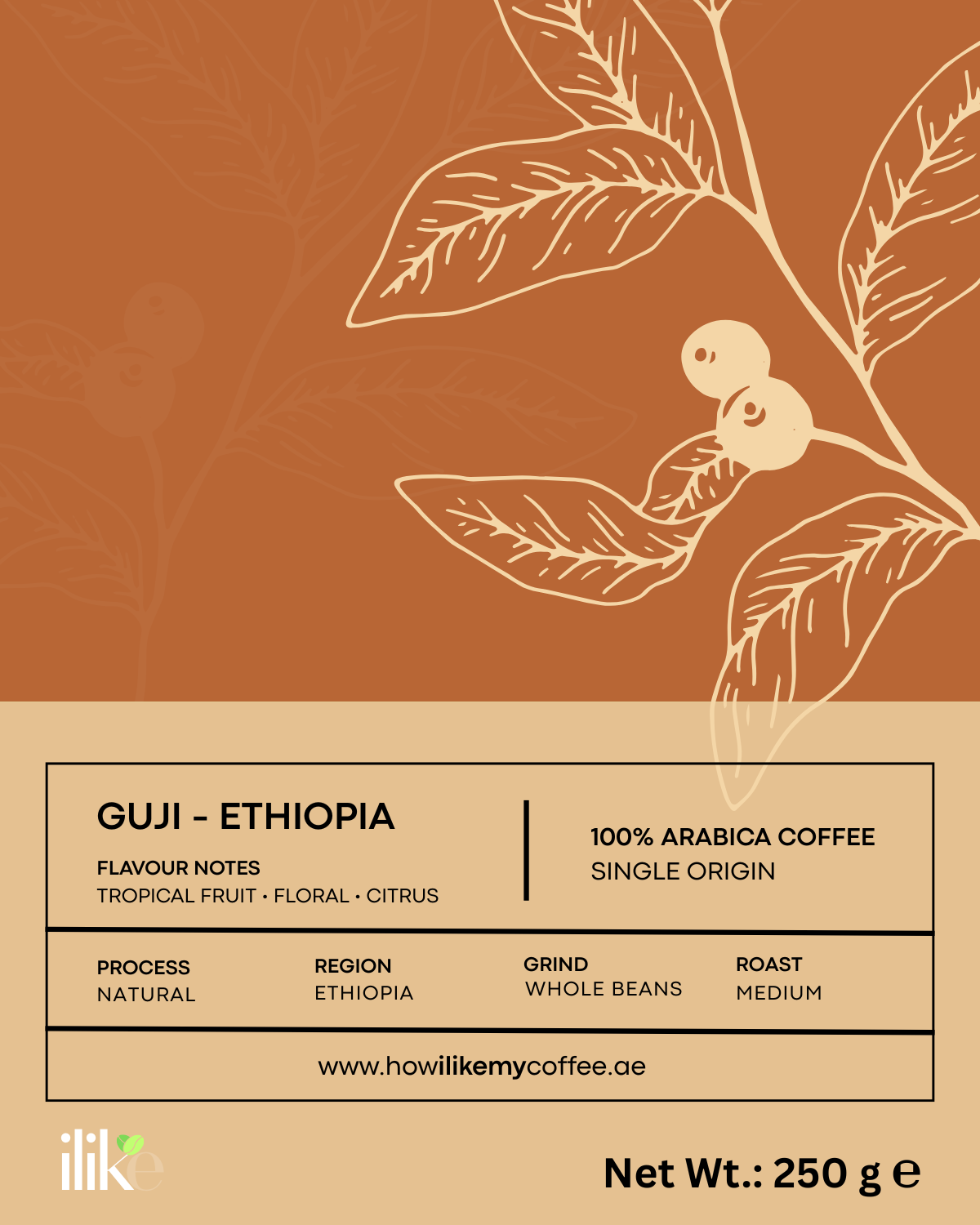 GUJI - Ethiopia