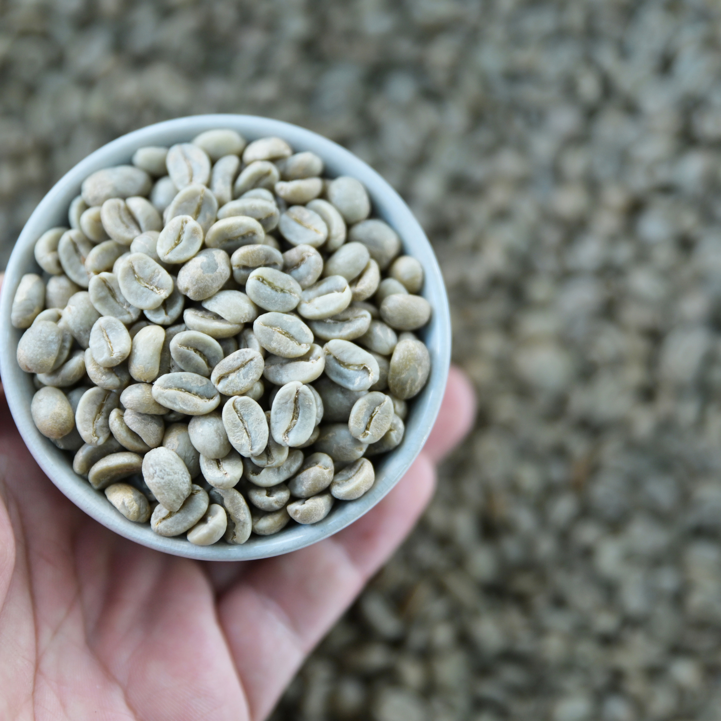 Yirgacheffe- Green Coffee (1 KG, 5 KG, 10KG, 40KG, 60KG, Container)